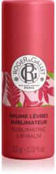 Roger & Gallet Gingembre Rouge Sublimating Lip Balm balsam de buze 3.5 g