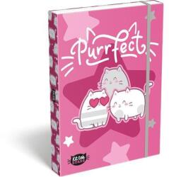 LIZZY Füzetbox, A4, LIZZYSULI, Kit tok Stars Purrfect (470216002)