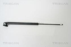TRISCAN Amortizor portbagaj TRISCAN 8710 50240 (8710 50240)