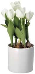 AdTrend Lalele artificiale albe in ghiveci 13, 5 x 33 cm (74877B)