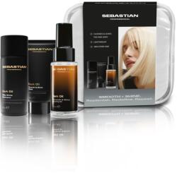 Sebastian Professional Dark Oil Set utazási készlet a fénylő és selymes hajért