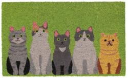 Esschert Design Изтривалка от кокосови влакна 45x75 cm - Esschert Design (ZEE-RB331)
