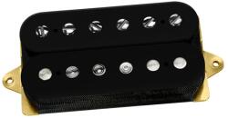 DiMarzio DP 155BK The Tone Zone - kytary