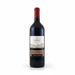 Corte Guala Vin Rosu Corte Guala Terre di Marna Appassimento, 15%, 0.75L