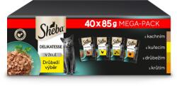 Sheba tasakos eledel, baromfi válogatás zselében felnőtt macskáknak 40 × 85 g