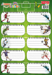 TANEX Etichete scolare 30/set fotbal tls-804 Tanex (TWTLS804)