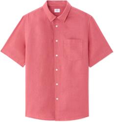 CELIO Damarlin (1186256)