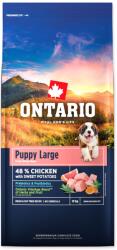 ONTARIO Puppy & Junior Large Chicken & Sweet Potatoes 12kg
