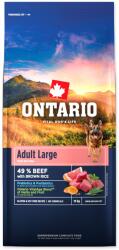 ONTARIO Adult Large Beef & Brown Rice 12kg