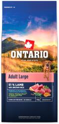 ONTARIO Adult Large Lamb & Brown Rice 12kg