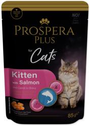 Prospera Plus Plus tasak kölyökmacska, lazac, sárgarépa 85g
