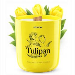 Ravina Szójagyertya Tulipán 175g Fa kanóc 40h (5904050538)