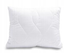 Brotex Alvó Párna 30 x 40 cm (54340)