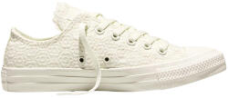 Converse Tenisi unisex Converse Chuck Taylor All Star A16907C (A16907C)