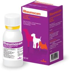Chanelle Rheumocam, 1.5 mg/ ml solutie orala, 42 ml