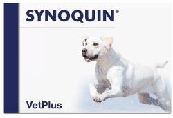 VetPlus Synoquin Large Breed Tasty, 1 tableta (* 30 tablete / cutie)