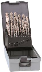 ALPEN-MAYKESTAG Set burghie HSS pentru metal și oțel Alpen-Maykestag, cutie plastic Pro (0000110325100) Burghiu