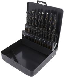 ALPEN-MAYKESTAG Set burghie metal HSS 25 buc. DIN 338 RN (0000810321100) Burghiu