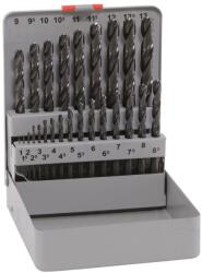 ALPEN-MAYKESTAG Set de burghie HSS pentru metal - cutie metalică 25 buc (0000101321100) Burghiu