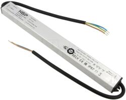KGP Electronics Alimentator Pulsatoriu LED KGP ELECTRONICS 100W 24VDC IP67 XSV100W24CG (XSV100W24CG)