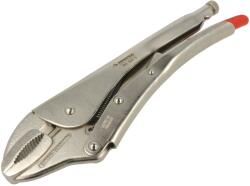 Rennsteig Clești de strângere 300mm 10. . . 65mm (160 300 5) Cleste