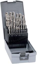 ALPEN-MAYKESTAG Set Burghie Metal HSS-E 25 Buc (0000102225100) Burghiu