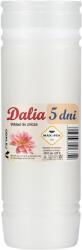 CHOMIK Set de 10 bucăți de inserții din parafină DALIA 19CM/120H *6352*3040 (CH-ZOZ6352)