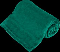 Teesa Pătură fleece 150x200 cm TEESA - verde (L-TSA8901-2) Patura