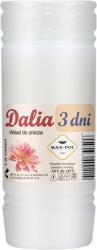 CHOMIK Set de 10 bucăți de inserturi din parafină DALIA 15CM/72H *3033*0214 (CH-ZOZ3033)
