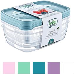 Hobby Life Set de 3 recipiente dreptunghiulare TREND BOX 2L *8885 (CH-HOB021017)