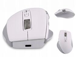 TnB SB11764