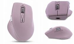 TnB SB11763