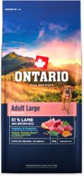 ONTARIO Adult Large Lamb & Brown Rice 12 kg - alza