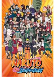 Grupo Erik Naruto Shippuden: Characters - Poszter (GPE6022)