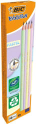 BIC Creion grafit hb fara guma eco evolution pastel 12/cut Bic (BC518307)