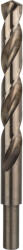 Bosch Burghiu elicoidal PRO Stainless Steel HSS-Co 13x101x152 mm (2608577620) Burghiu
