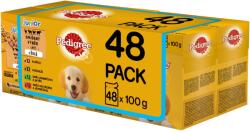 PEDIGREE tasakos eledel kölyökkutyáknak, húsválogatás rizzsel aszpikban, 48 x 100 g