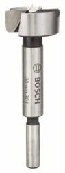 Bosch Freza pentru lemn Bosch, 30 mm (2609255289)