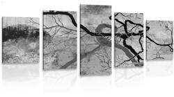 Dovido Tablou 5-piese copaci suprarealistici în design alb-negru - 100x50