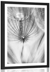 Dovido Poszter paszportuval pitypang fekete fehérben - 40x60 black