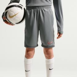 Nike Academy XL | Unisex | Pantaloni scurți | Gri | IF2770-013