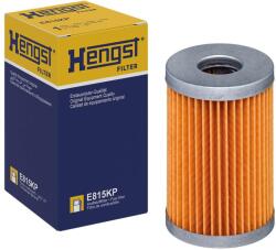 Hengst Filter Filtru combustibil HENGST FILTER E815KP (E815KP) - fixbox