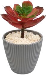  Planta Suculenta In Ghiveci, Gri, Plastic, 16Cm - Rosu, Plastic, 16cm (2106)