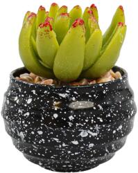  Vas Rotund Cu Planta Suculenta, Verde, Plastic, 8Cm - Verde, Plastic, 8cm (2104)