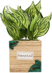  Ghiveci Lemn Cu Flori, Verde, Plastic, 21Cm - Verde, Plastic, 21cm (2086)