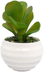  Planta Suculenta Artificiala, Verde, Plastic, 10Cm - Verde, Plastic, 10cm (2096)