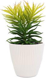 Planta Suculenta In Ghiveci, Alb, Plastic, 19Cm - Alb, Plastic, 19cm (2105)