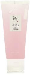 Beauty of Joseon Red Bean Water Gel 100 ml - parfimo