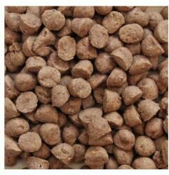 Magnusson Meat & Biscuit Junior 4,5 kg