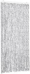 vidaXL világosszürke és sötétszürke zsenília rovarfüggöny 90 x 200 cm 1.9 kg (377396VidaXL)